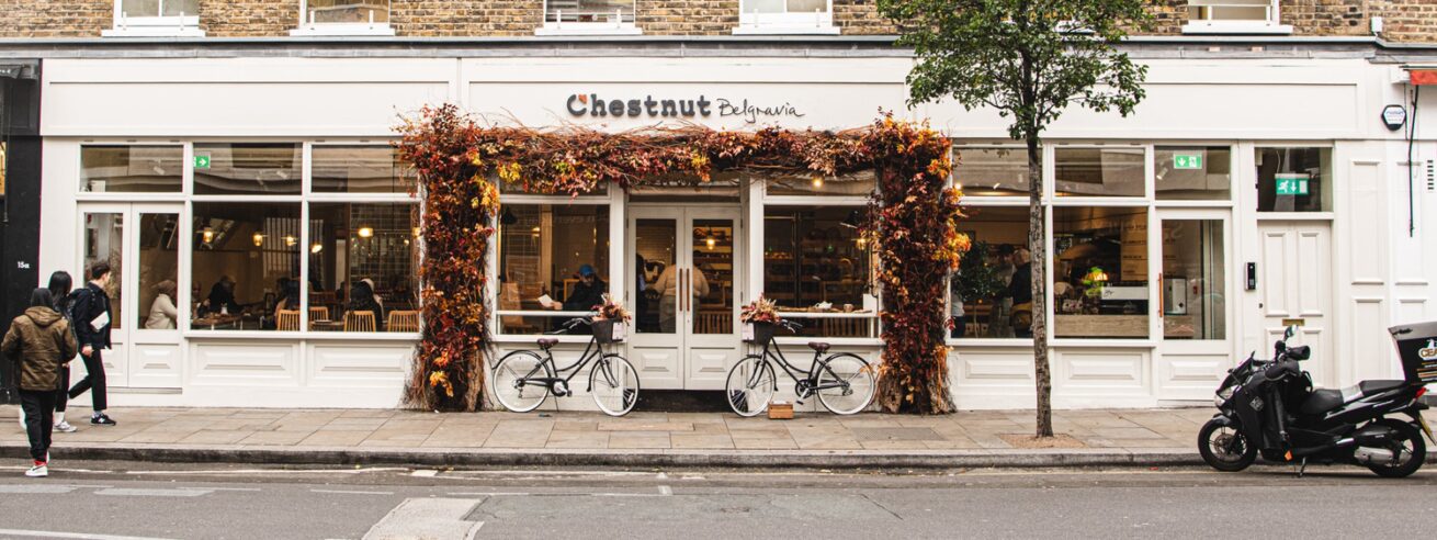 Chestnut Exteria
