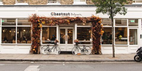 Chestnut Exteria