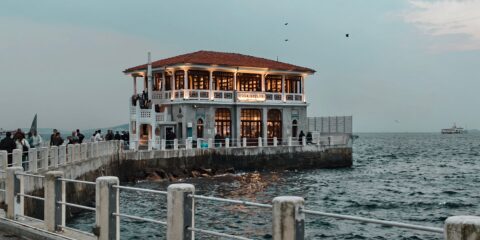 Pexels dgknoz 34960113